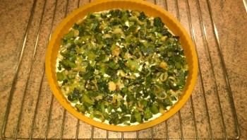 Step 5
