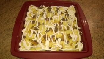 Step 7